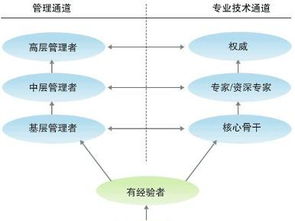 东莞市优点网络科技 以员工发展驱动网络技术开发创新